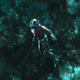 Ant-Man in the Quantum Realm.